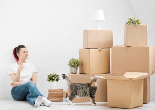 Umzug in die neue Wohnung